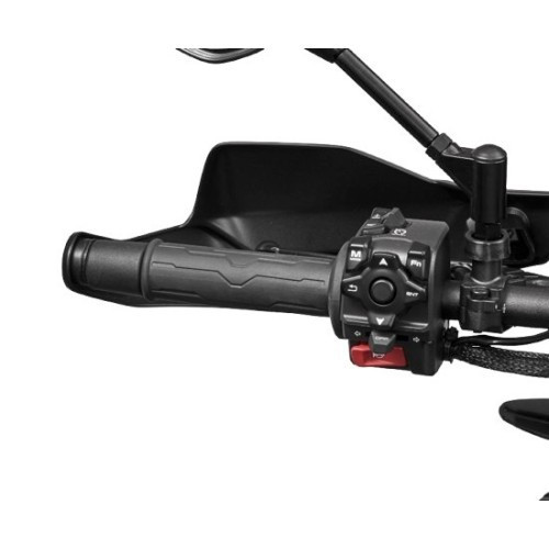 CFMOTO 450MT Heated Grips Assy