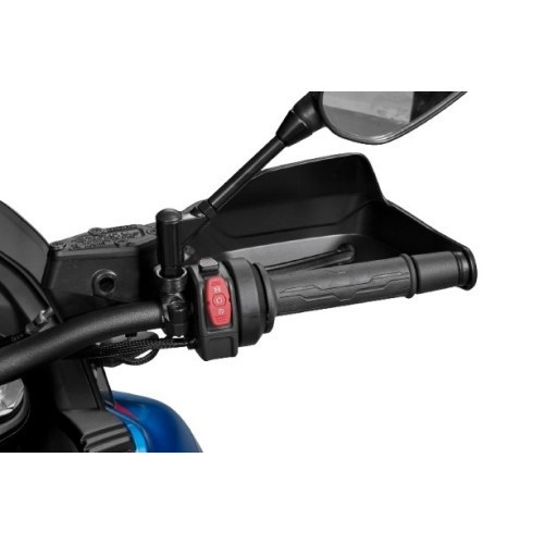 Heated Grips Assy 800MT/X