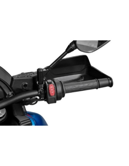 Heated Grips Assy 800MT/X