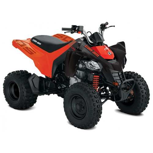 CAN-AM DS 250 STD 2022