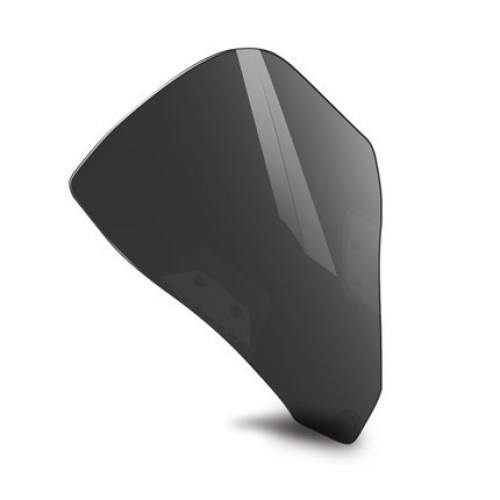 Parbriz fumuriu 250SR / 300SR