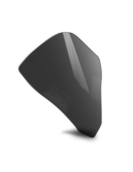 Parbriz fumuriu 250SR / 300SR