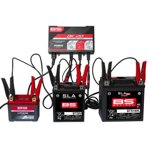 BS BATTERY BK20 Smart Battery Charger -6V/12V 3x2A