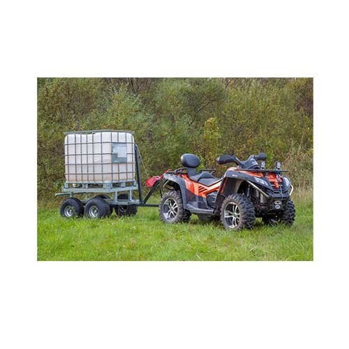 Container IBC 1000 L Iron Baltic