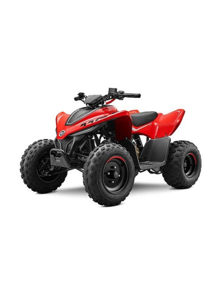 CFMOTO CFORCE 110 FUN '25