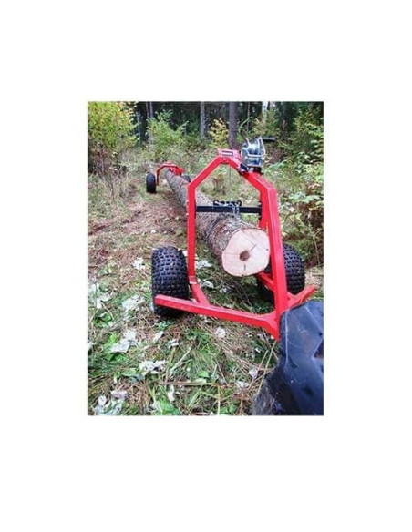 Log carrier Iron Baltic