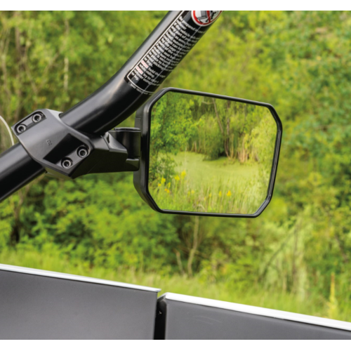 Side Mirrors Assembly