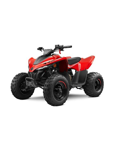 CFMOTO CFORCE 110 '25