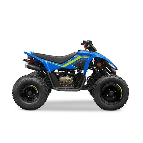 CFMOTO CFORCE 110 '25