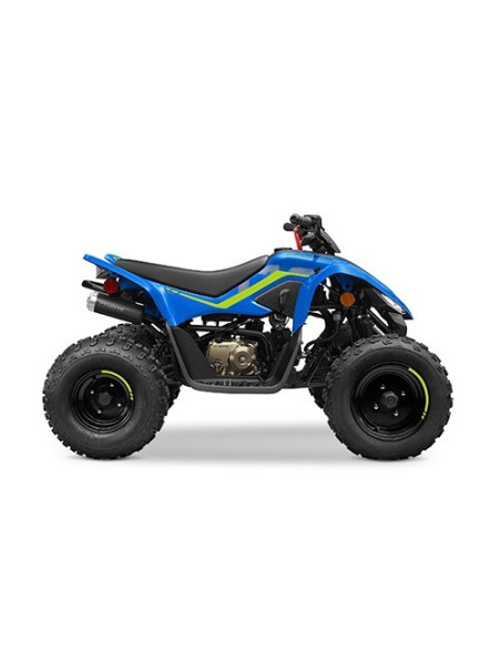 CFMOTO CFORCE 110 '25