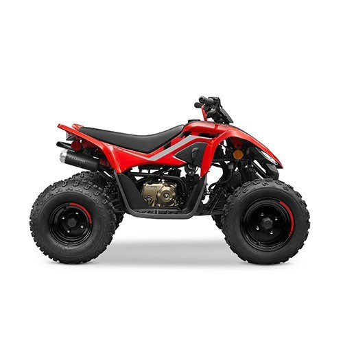 CFMOTO CFORCE 110 '25