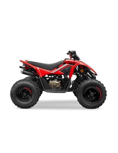 CFMOTO CFORCE 110 '25