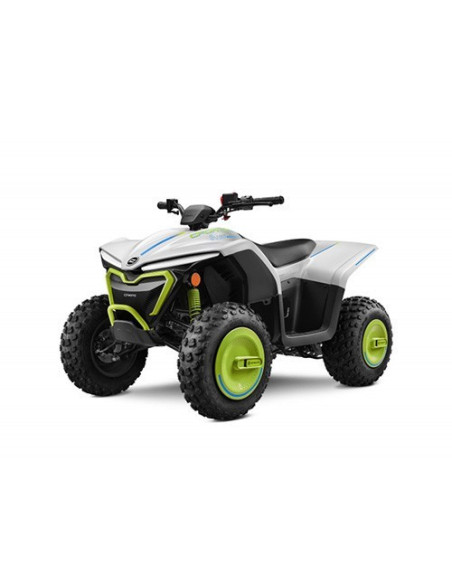 CFMOTO CFORCE EV 110 '25