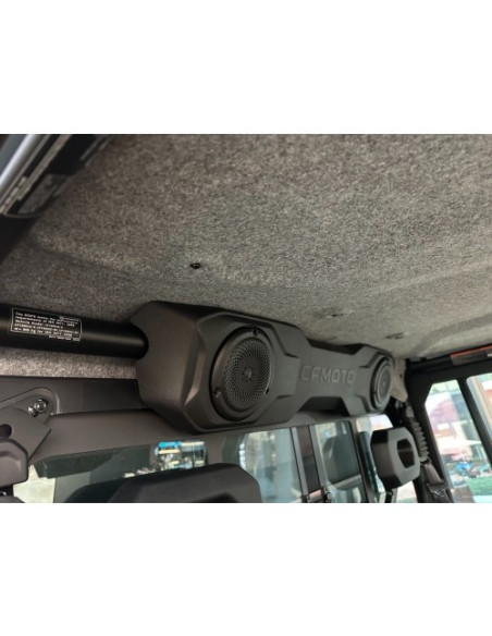 Roof Liner CFMOTO U10 PRO